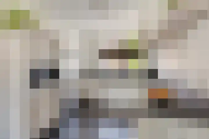 Sella 9 Veldhoven thumbnail 7