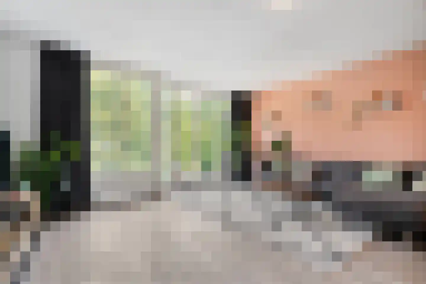 Sellekamp 36 Zwolle thumbnail 13