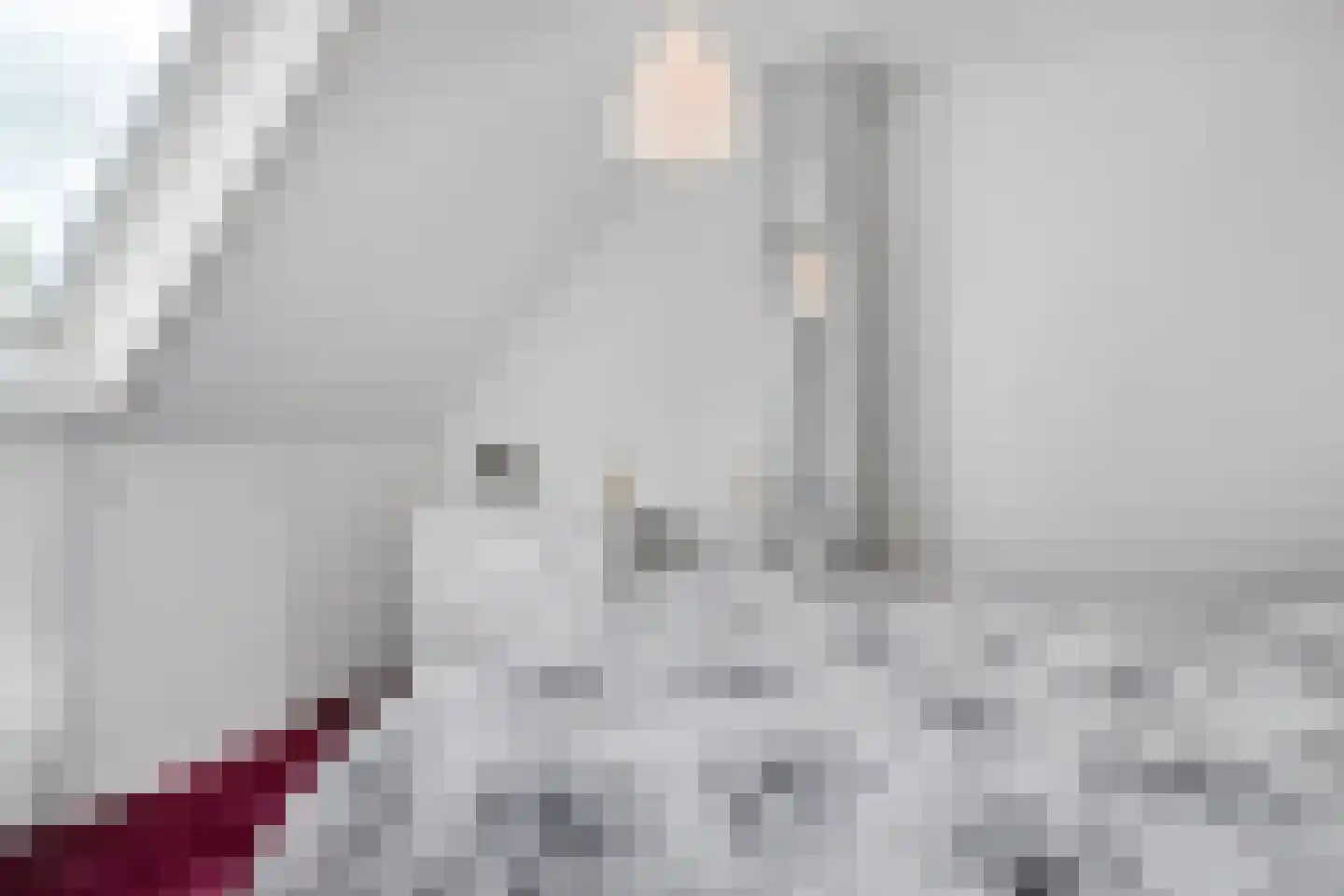 Sellekamp 36 Zwolle thumbnail 23