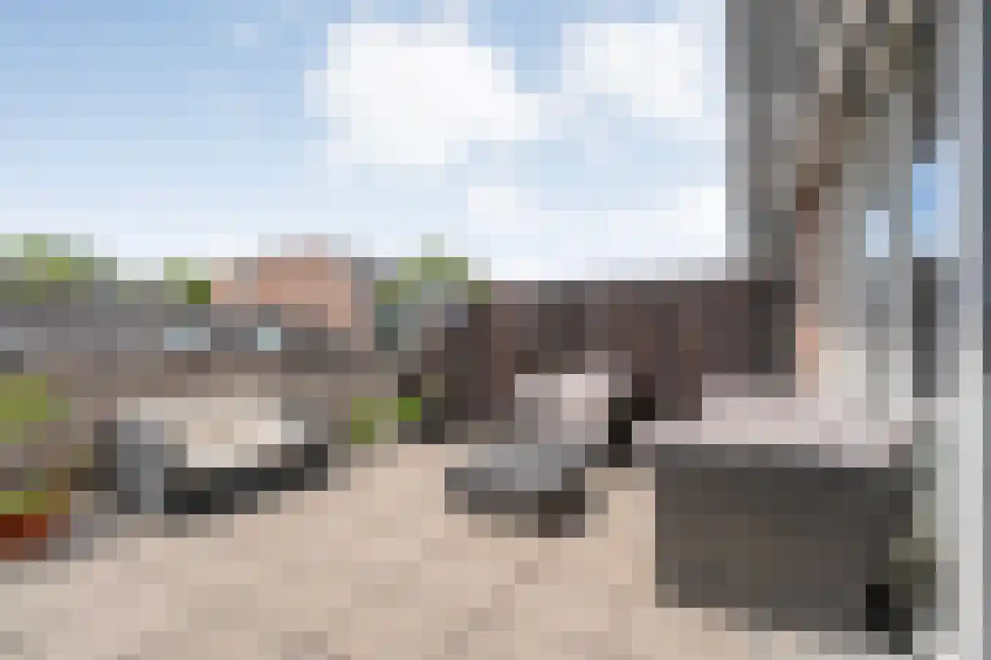 Sellekamp 36 Zwolle thumbnail 26
