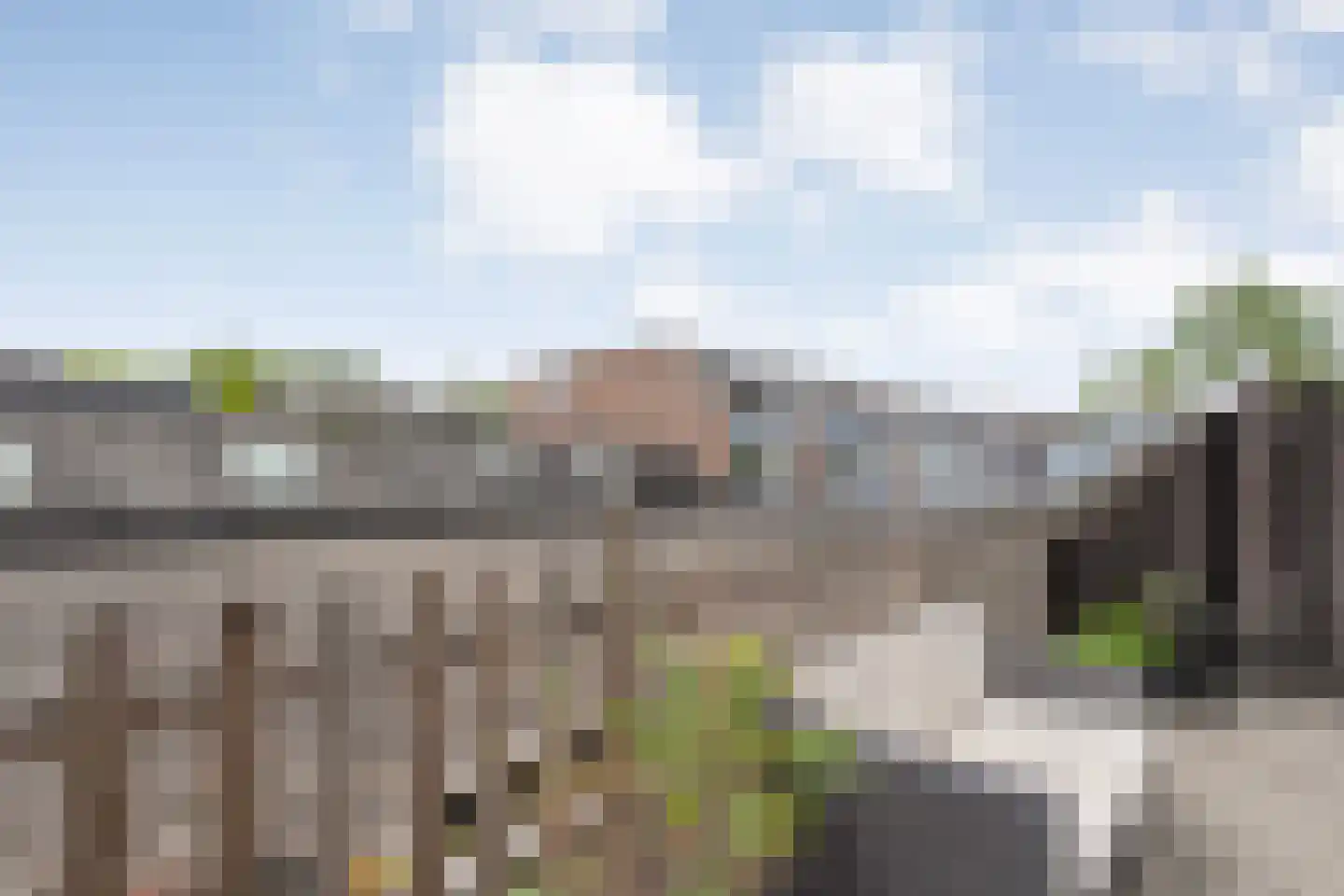 Sellekamp 36 Zwolle thumbnail 29
