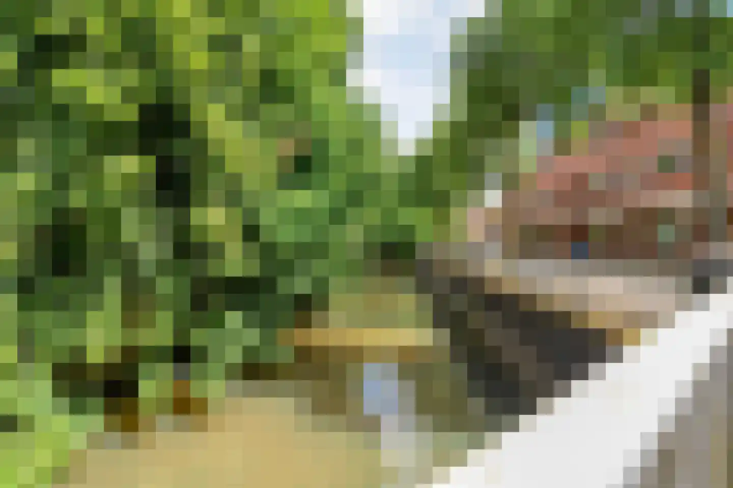 Sellekamp 36 Zwolle thumbnail 34