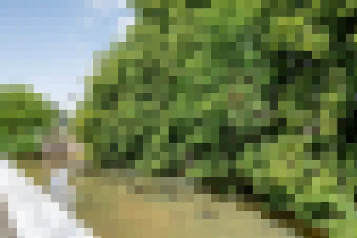 Sellekamp 36 Zwolle thumbnail 35