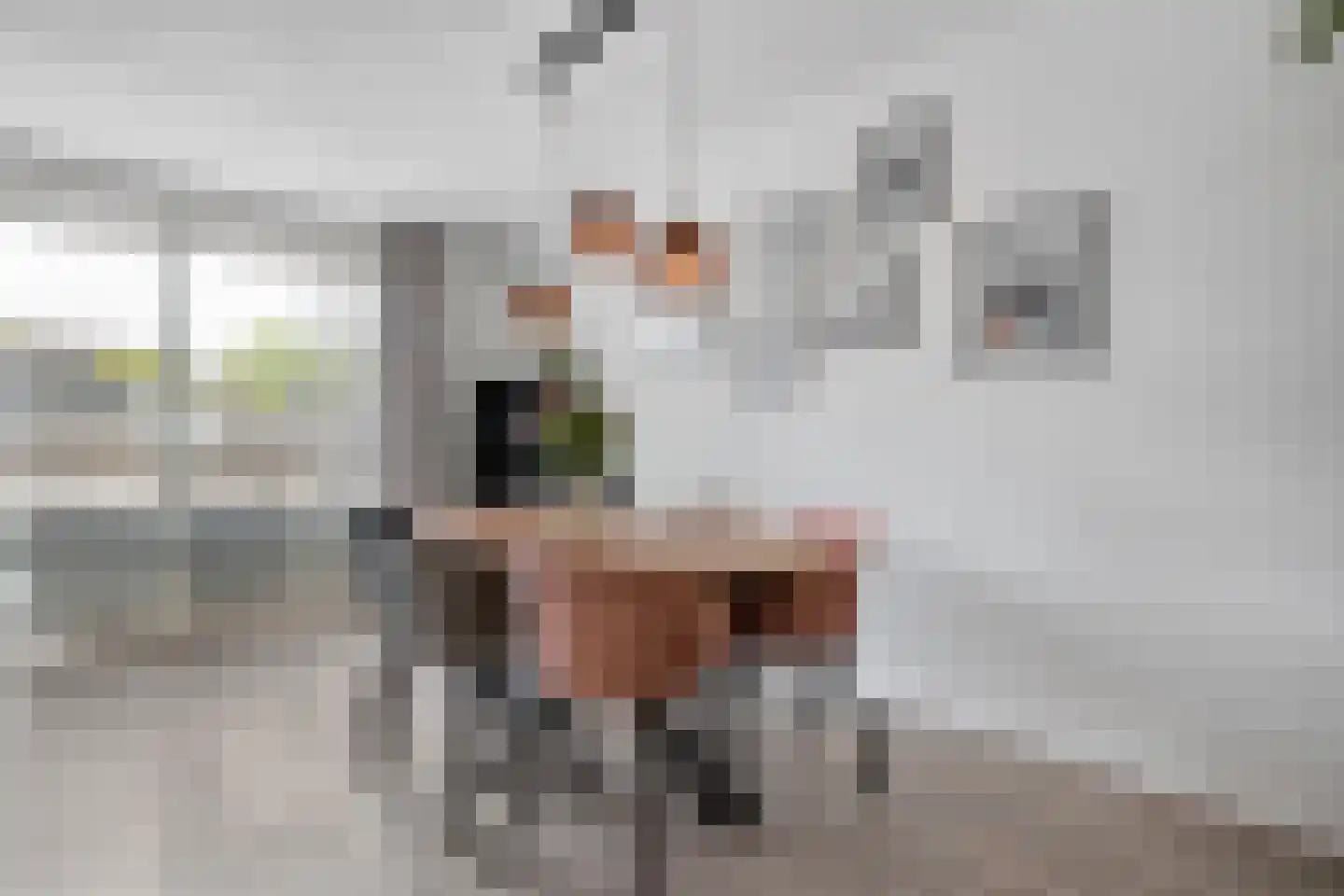 Sellekamp 36 Zwolle thumbnail 7