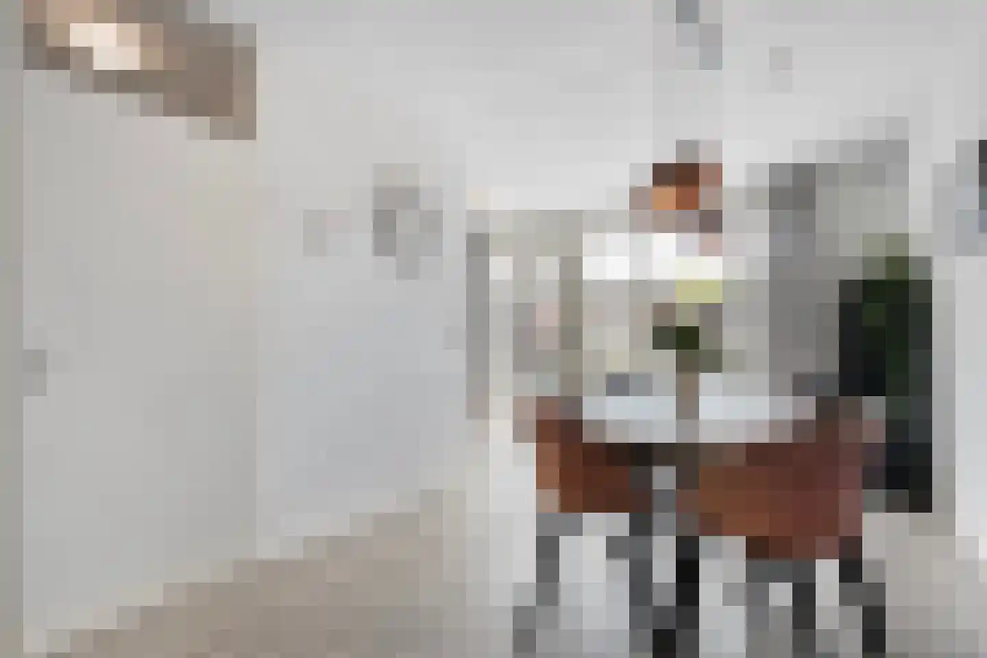 Sellekamp 36 Zwolle thumbnail 8