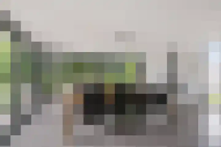 Selleland 3 Huissen thumbnail 10