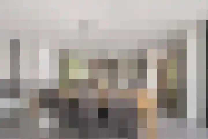 Selleland 3 Huissen thumbnail 11