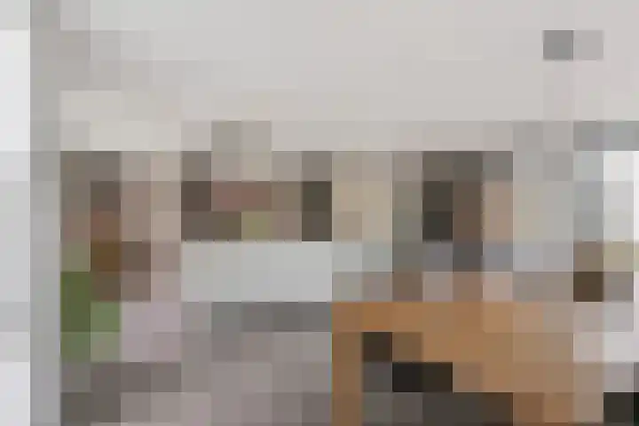 Selleland 3 Huissen thumbnail 12
