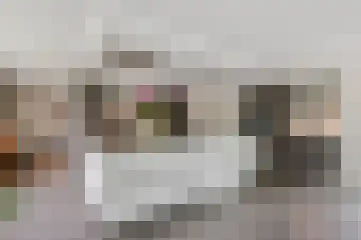 Selleland 3 Huissen thumbnail 13