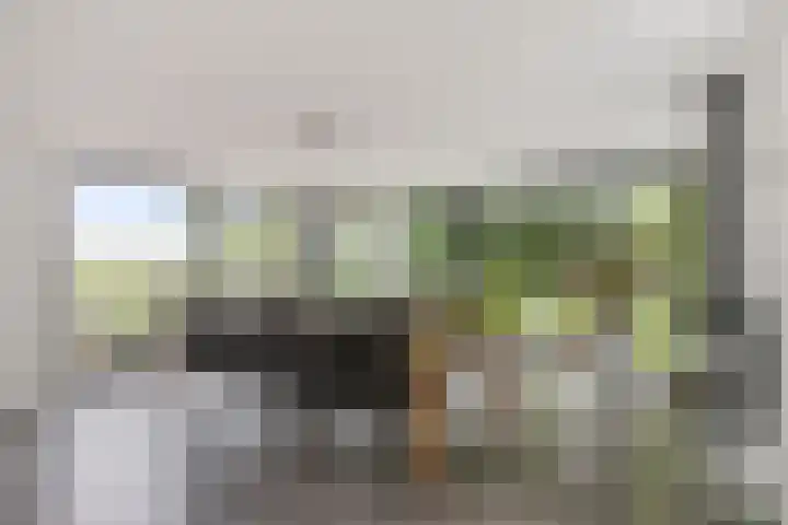 Selleland 3 Huissen thumbnail 14