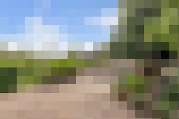 Selleland 3 Huissen thumbnail 15