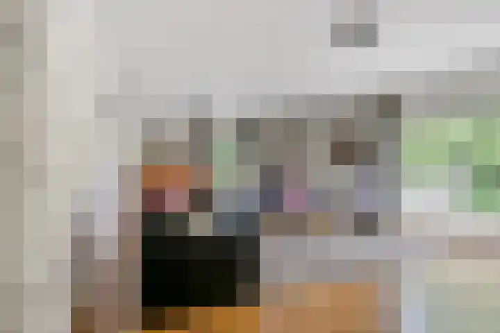 Selleland 3 Huissen thumbnail 16