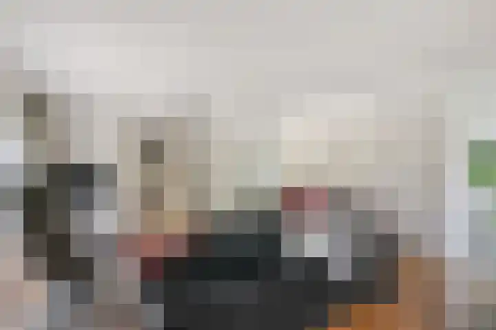 Selleland 3 Huissen thumbnail 17