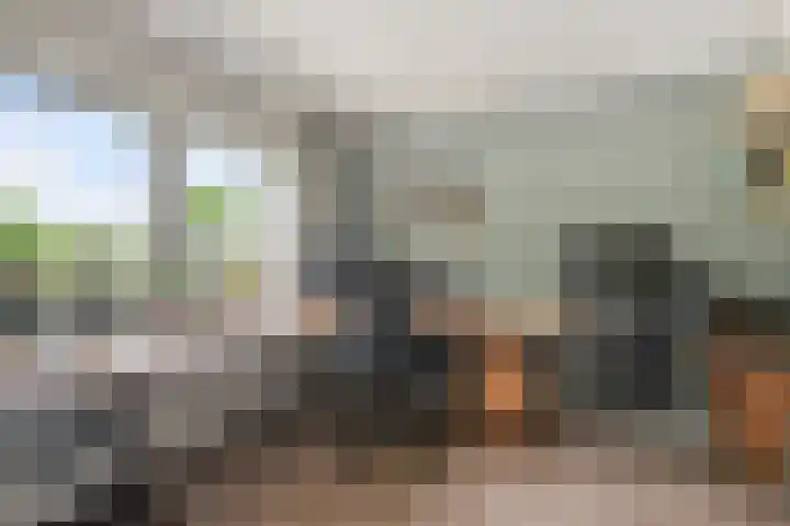 Selleland 3 Huissen thumbnail 19