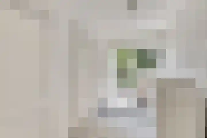 Selleland 3 Huissen thumbnail 23