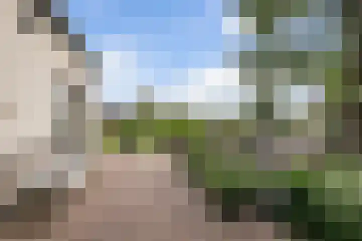 Selleland 3 Huissen thumbnail 24