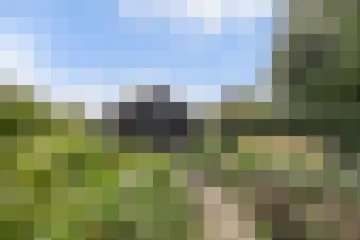 Selleland 3 Huissen thumbnail 25