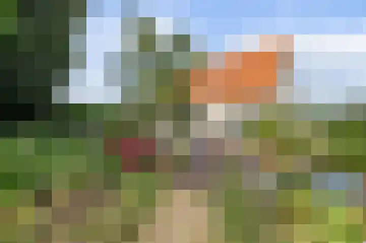 Selleland 3 Huissen thumbnail 26