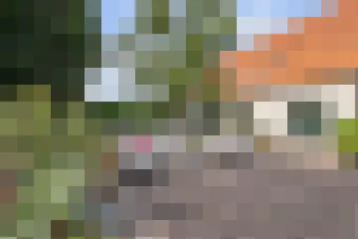 Selleland 3 Huissen thumbnail 27