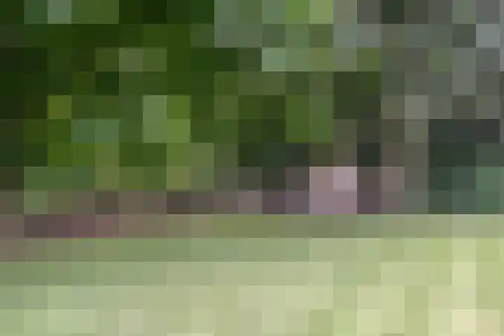 Selleland 3 Huissen thumbnail 29