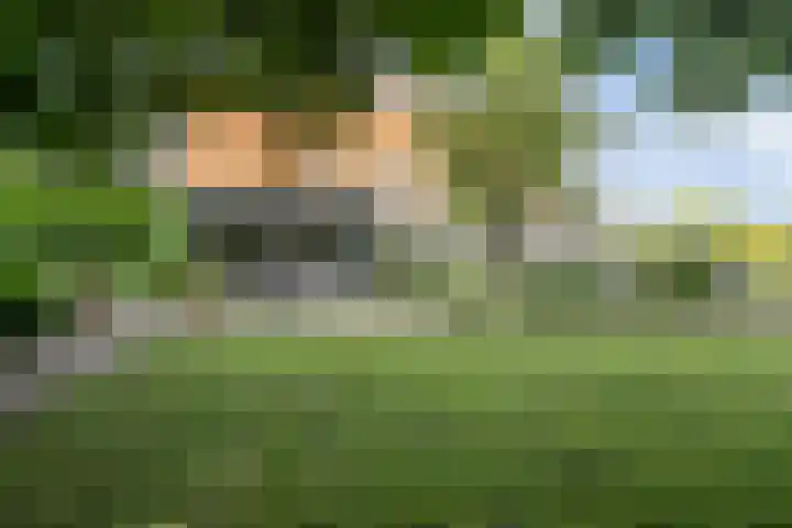 Selleland 3 Huissen thumbnail 30