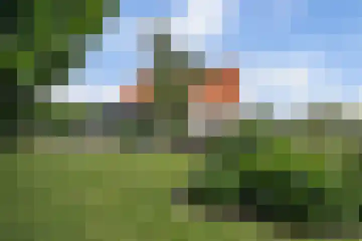 Selleland 3 Huissen thumbnail 31