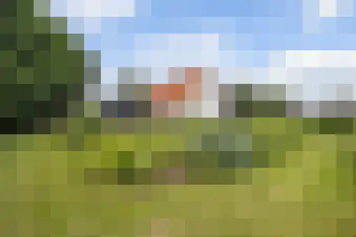 Selleland 3 Huissen thumbnail 32