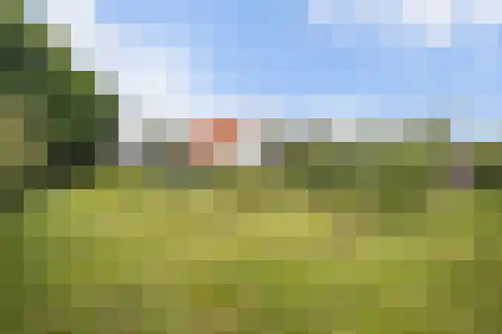 Selleland 3 Huissen thumbnail 33