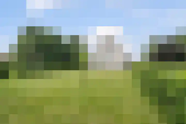 Selleland 3 Huissen thumbnail 36