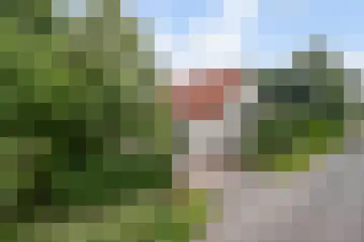 Selleland 3 Huissen thumbnail 37