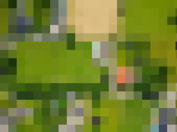 Selleland 3 Huissen thumbnail 38