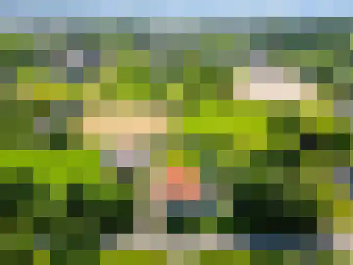 Selleland 3 Huissen thumbnail 4