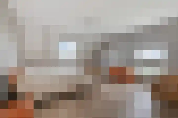 Selleland 3 Huissen thumbnail 40