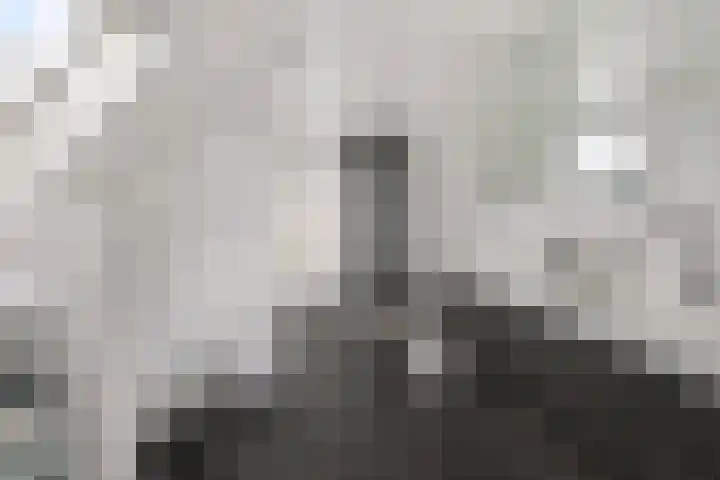 Selleland 3 Huissen thumbnail 42