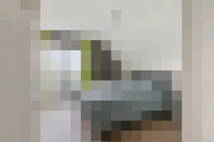 Selleland 3 Huissen thumbnail 46
