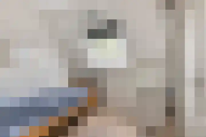 Selleland 3 Huissen thumbnail 48