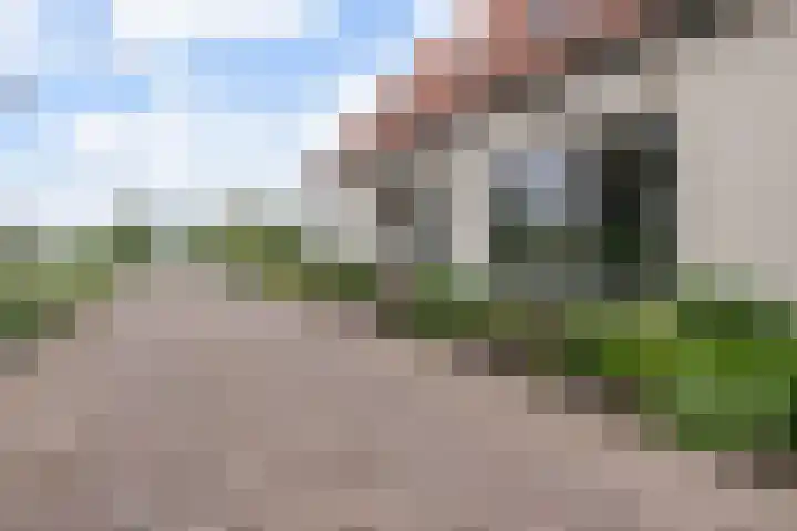 Selleland 3 Huissen thumbnail 5