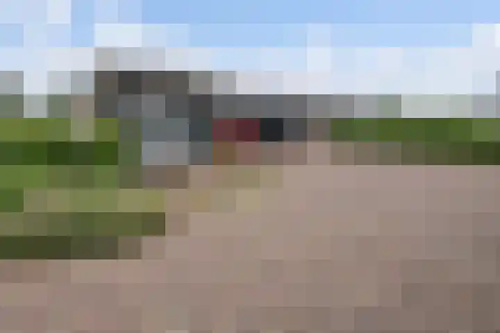 Selleland 3 Huissen thumbnail 51