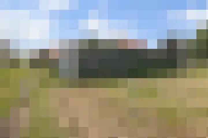 Selleland 3 Huissen thumbnail 52