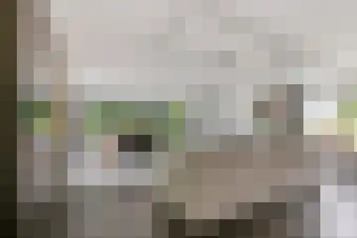 Selleland 3 Huissen thumbnail 8