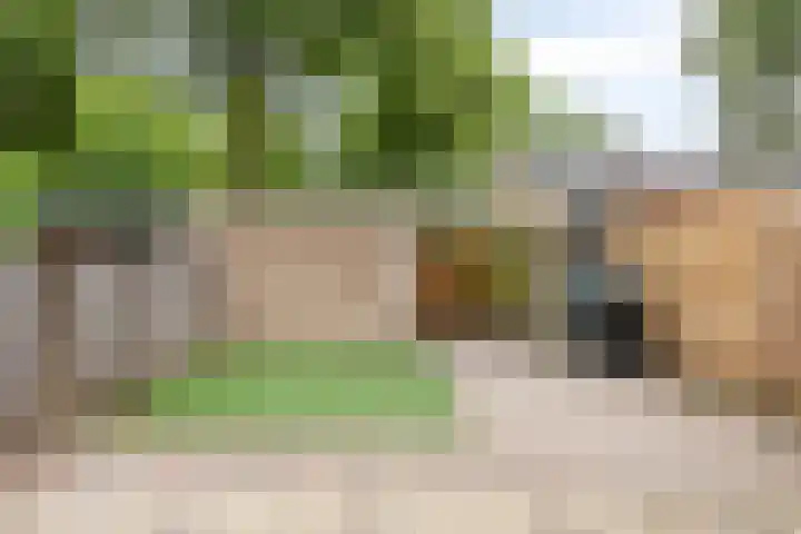 Sellersmaat 33 Zevenaar thumbnail 15