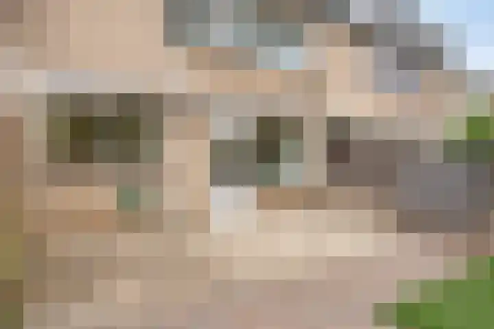 Sellersmaat 33 Zevenaar thumbnail 30