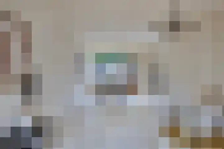 Sellersmaat 33 Zevenaar thumbnail 5