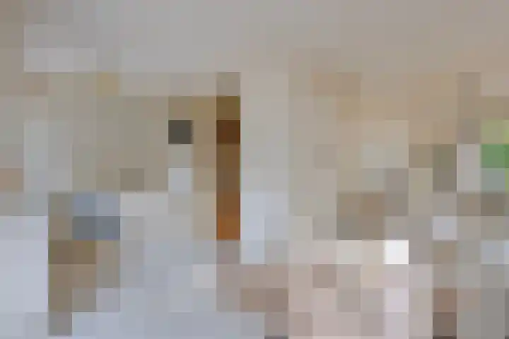 Sellersmaat 33 Zevenaar thumbnail 7