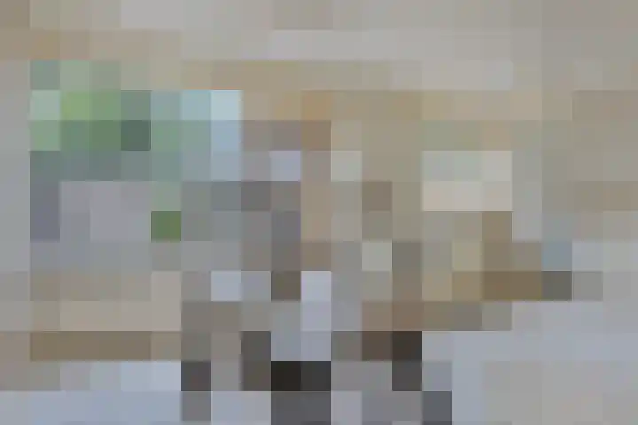 Sellersmaat 33 Zevenaar thumbnail 8
