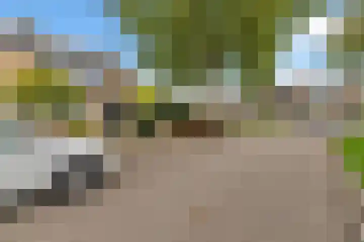 Sellersmaat 38 Zevenaar thumbnail 4