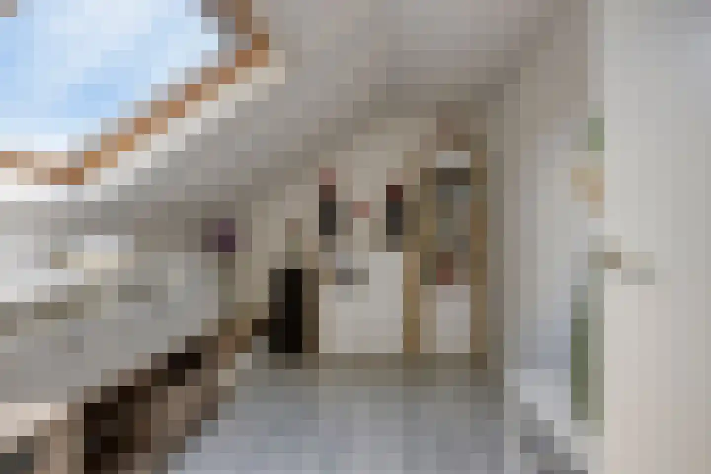 Sellersmaat 40 Zevenaar thumbnail 30