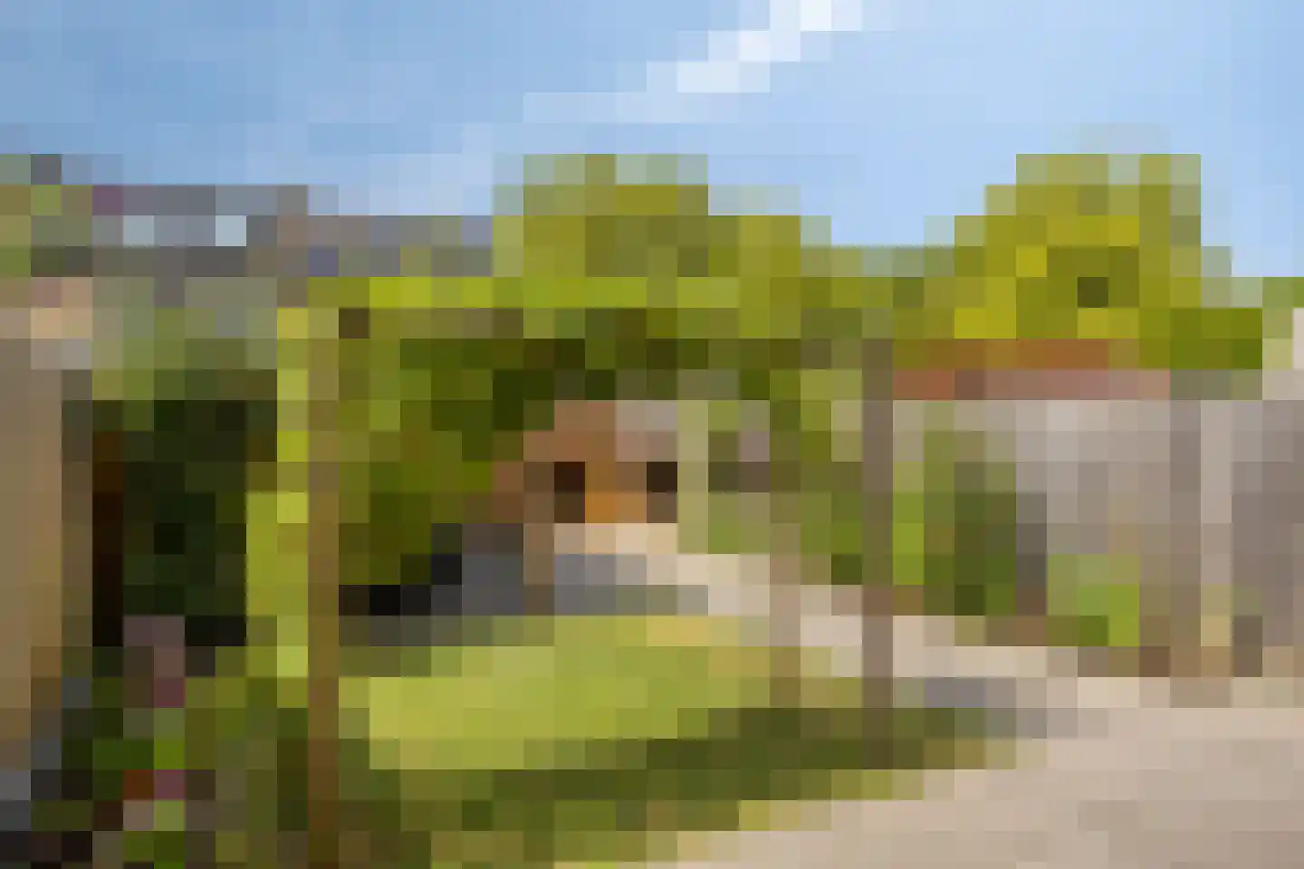 Sellersmaat 40 Zevenaar thumbnail 35
