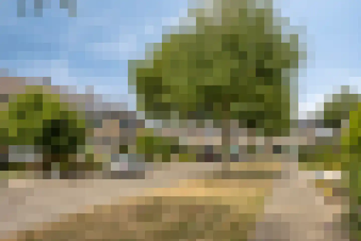 Sellersmaat 40 Zevenaar thumbnail 4