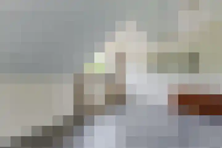 Sellingerbos 11 Purmerend thumbnail 39